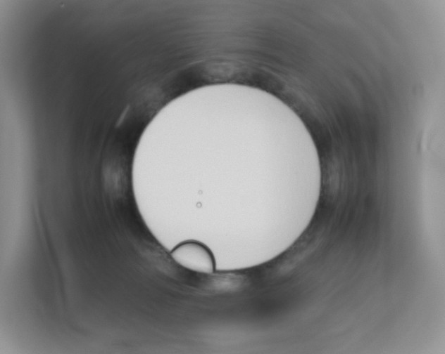X0000111190226200907291210