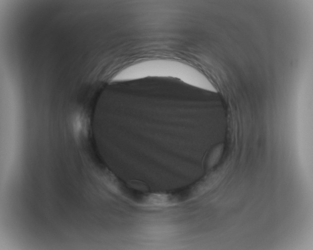 X0000111190227200907291210