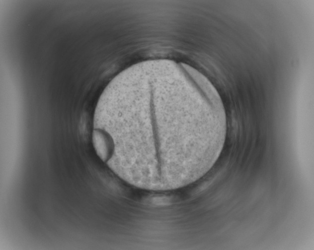 X0000111190228200907291210