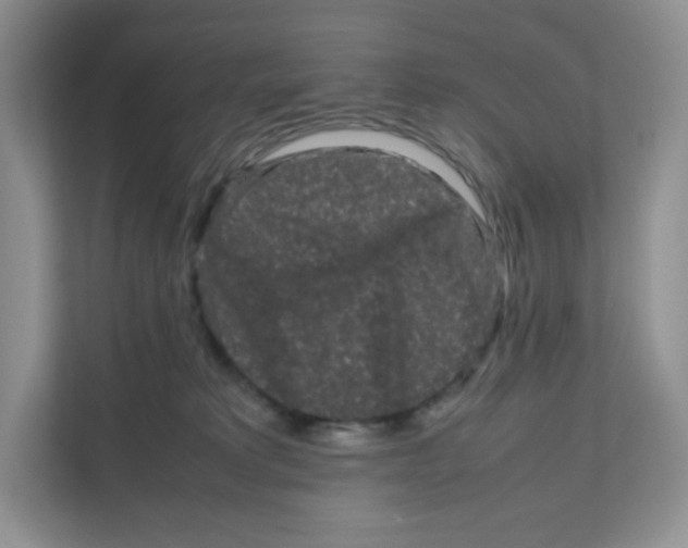 X0000111190229200907291210