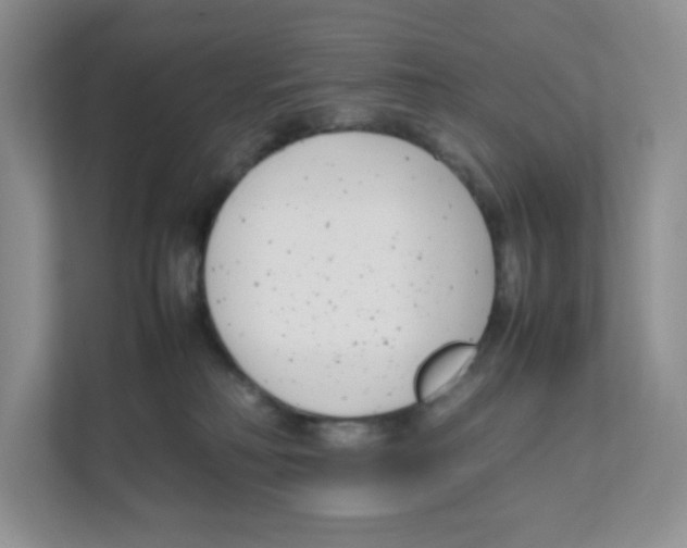 X0000111190230200907291210