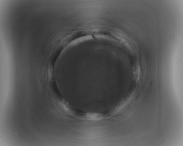 X0000111190231200907291210