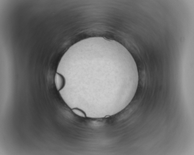 X0000111190232200907291210