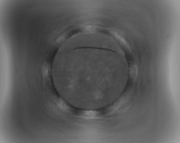 X0000111190233200907291210
