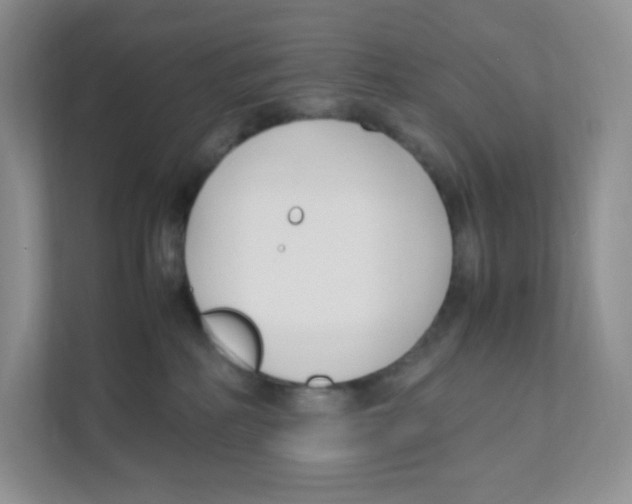 X0000111190234200907291210