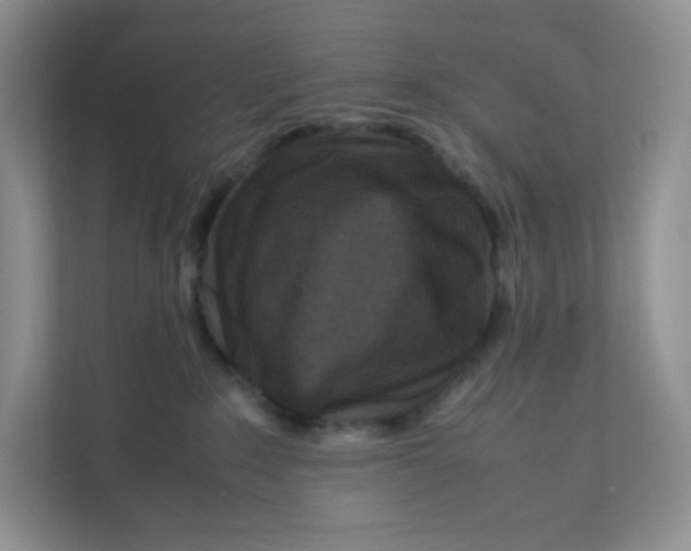 X0000111190235200907291210