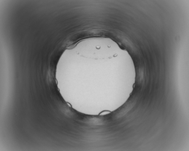 X0000111190236200907291210