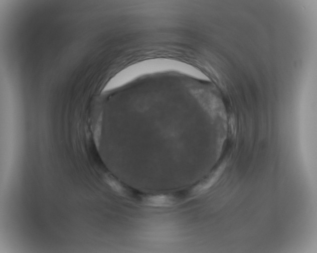 X0000111190237200907291210