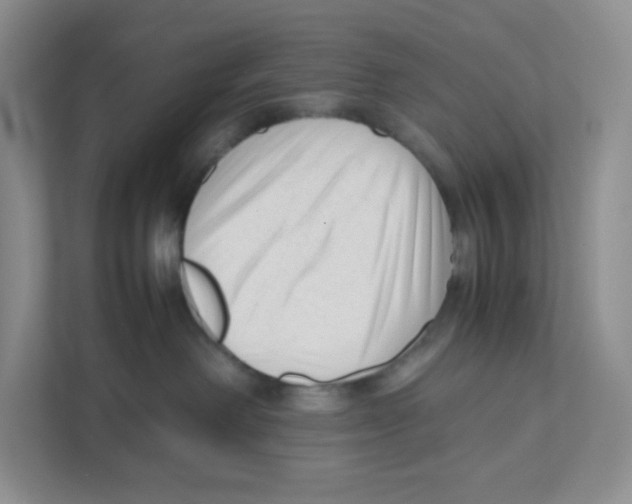 X0000111190238200907291210