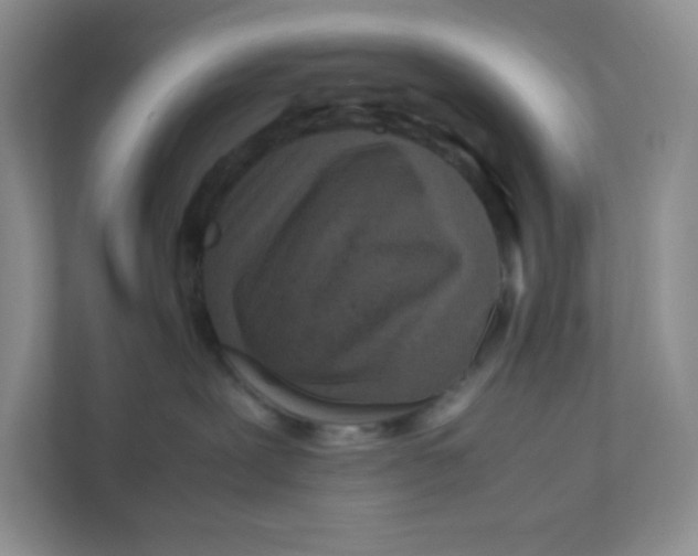 X0000111190239200907291210