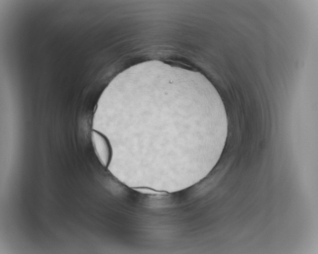 X0000111190240200907291210