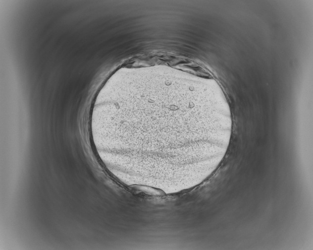 X0000111190241200907291209
