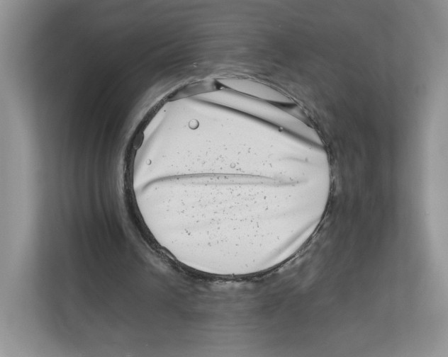 X0000111190242200907291209