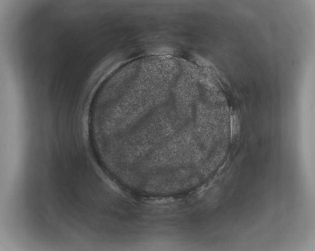 X0000111190243200907291209