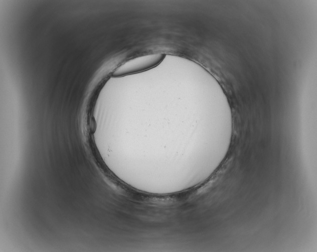X0000111190245200907291209
