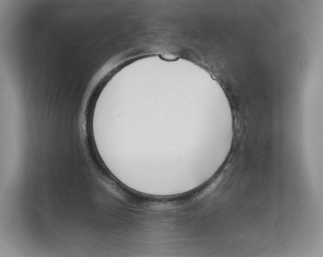X0000111190246200907291209