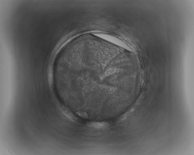 X0000111190247200907291209