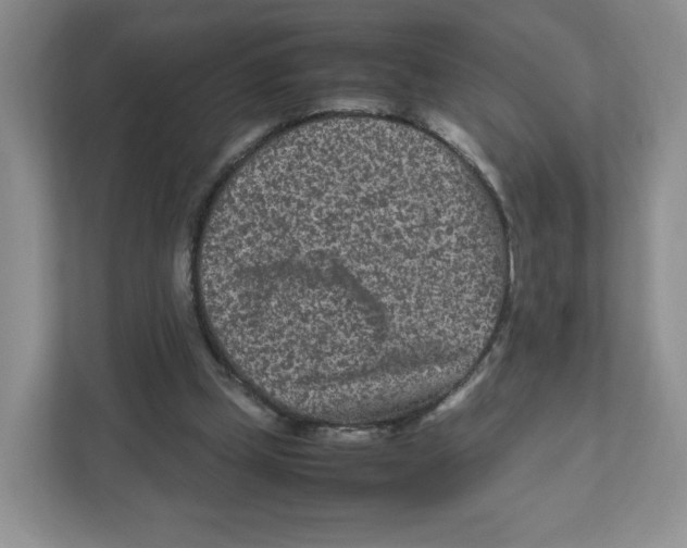 X0000111190249200907291209