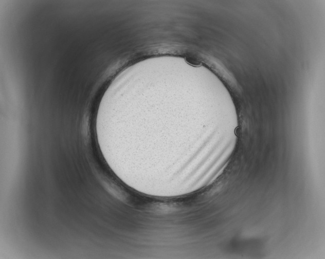 X0000111190250200907291209