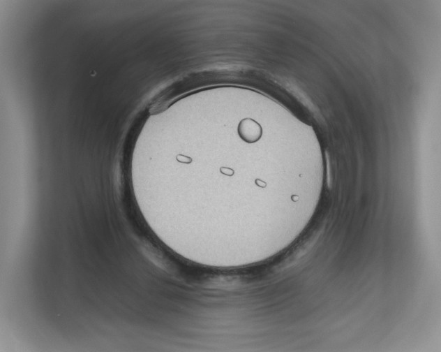 X0000111190252200907291209