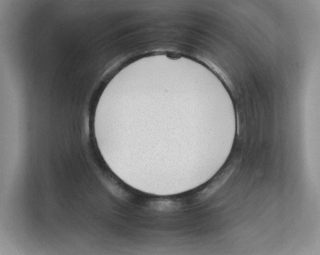 X0000111190253200907291209