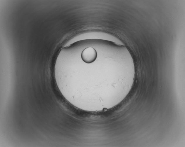 X0000111190256200907291210