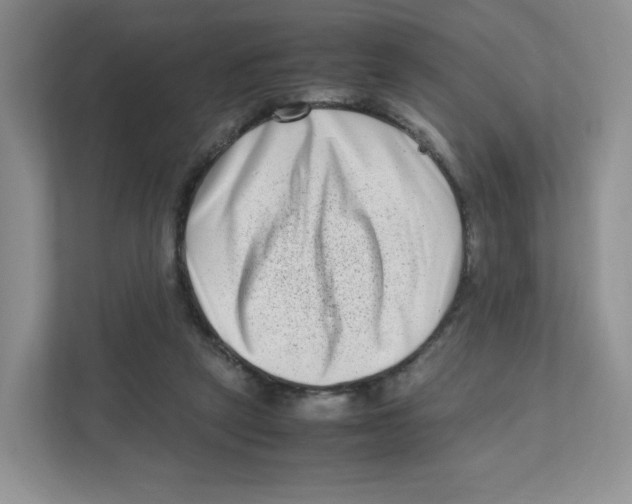 X0000111190257200907291210
