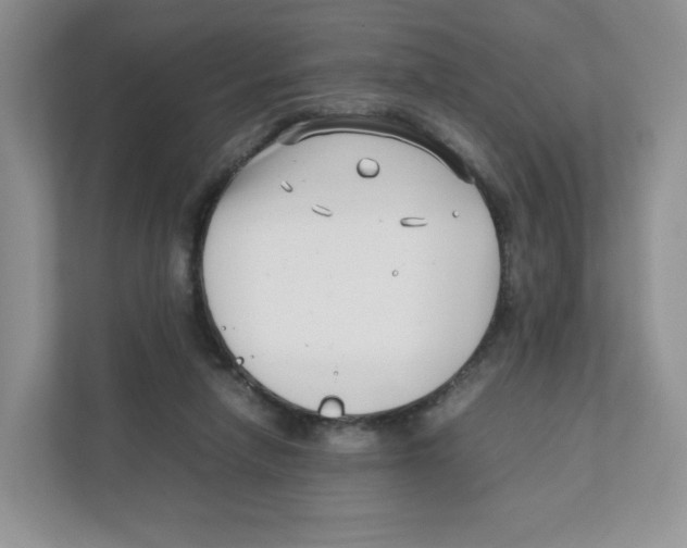 X0000111190258200907291210