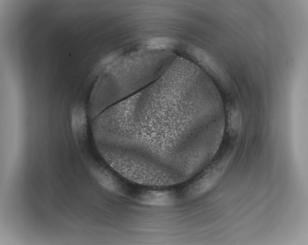 X0000111190260200907291210