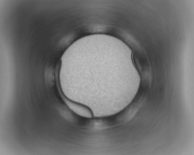 X0000111190264200907291210