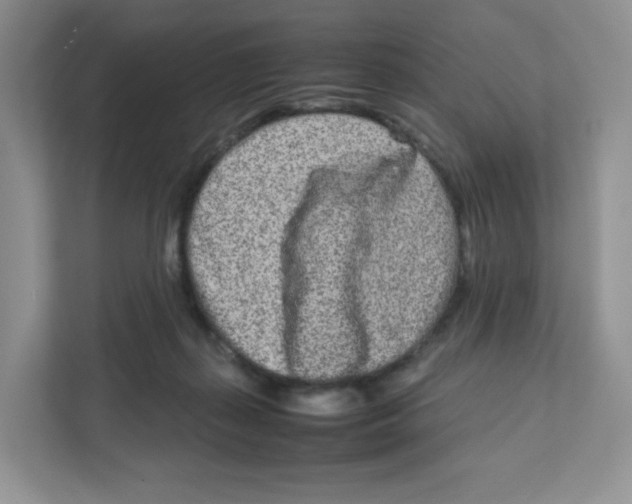X0000111190267200907291210