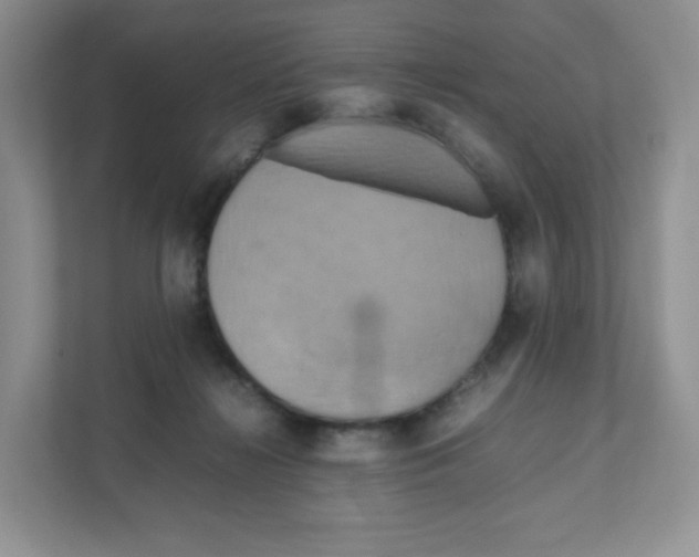 X0000111190268200907291210