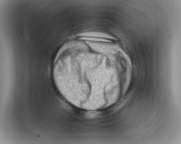 X0000111190269200907291210