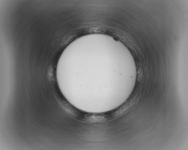 X0000111190270200907291210
