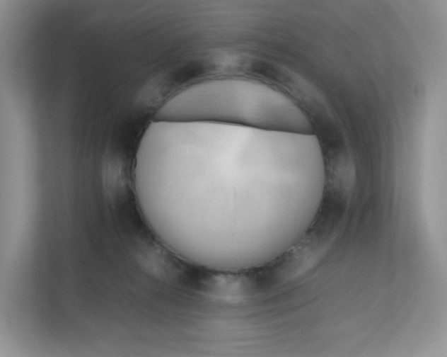 X0000111190272200907291210