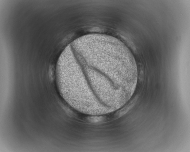 X0000111190273200907291210