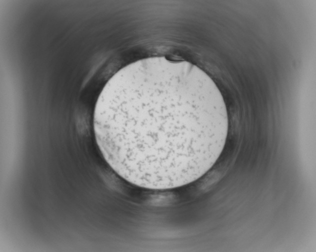 X0000111190274200907291210