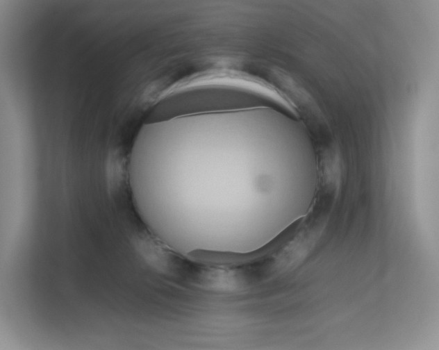 X0000111190276200907291210