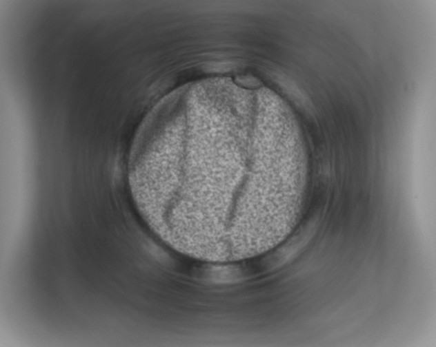 X0000111190277200907291210