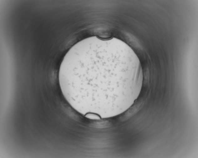 X0000111190278200907291210