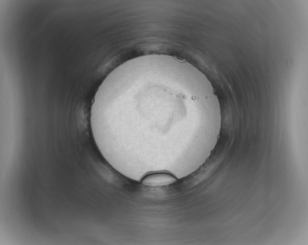 X0000111190282200907291210