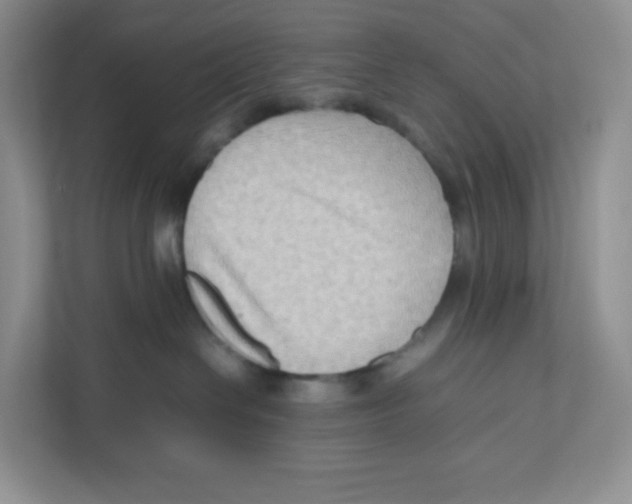 X0000111190286200907291210