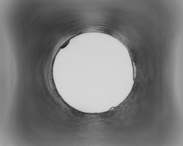 X0000111190289200907291209