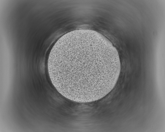 X0000111190290200907291209