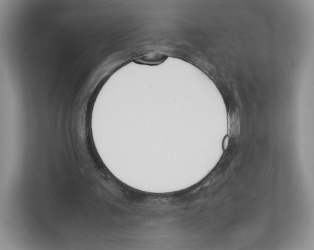X0000111190291200907291209