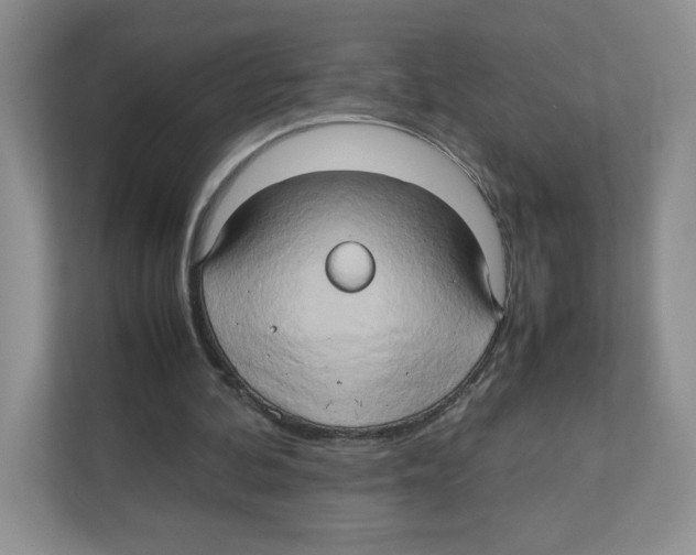 X0000111190292200907291209