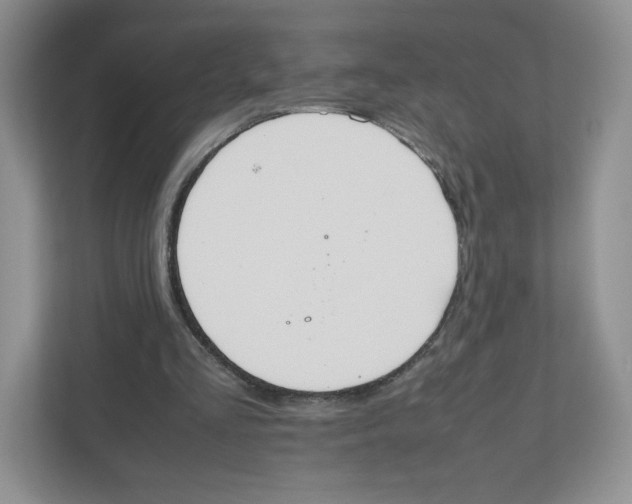 X0000111190293200907291209