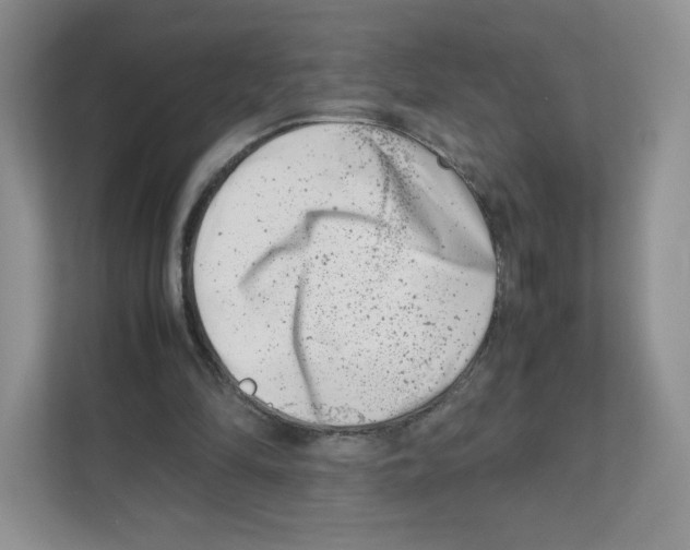 X0000111190294200907291209