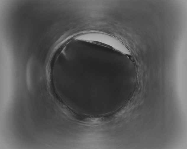 X0000111190295200907291209