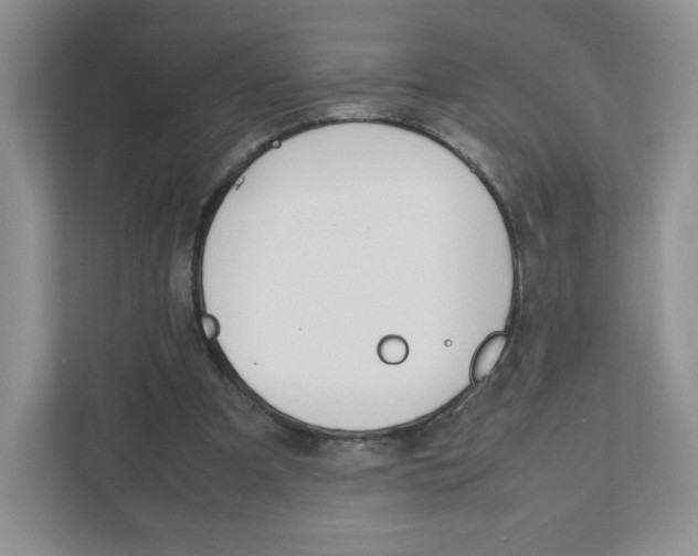 X0000111190297200907291209
